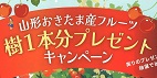 ʬץ쥼ȥڡ