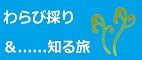 ӡʸΤ